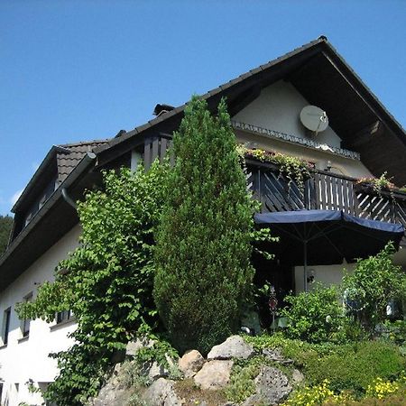 Ferienwohnung Am Patenberg Finnentrop Zewnętrze zdjęcie