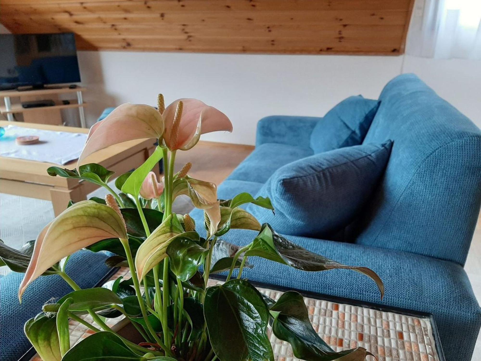 Ferienwohnung Am Patenberg Finnentrop Zewnętrze zdjęcie